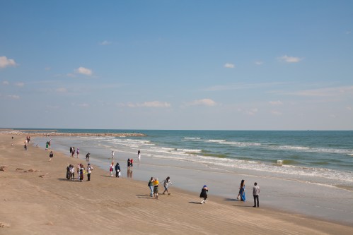 galvhalloween2011angellowresweb-9343