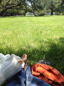 Picnic_at_the_Menil_Museum_Houston