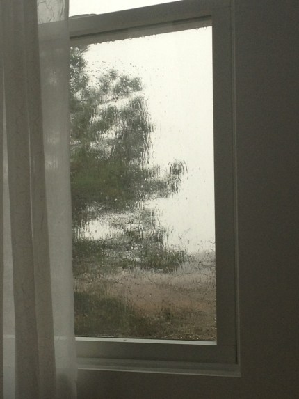 20131207-094634.jpg copyright Heidi Straube 2013