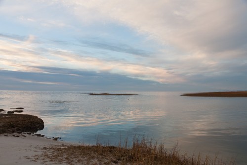hstraube_capecodboatmeadow2_40profilecorrectsaturation9web-4534