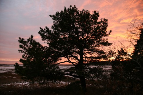 hstraube_capecod_212014_samosetsunset_web-6735