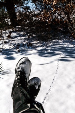 hstraube_capecod__feetwbirdsnowsamoset_web338w-6668