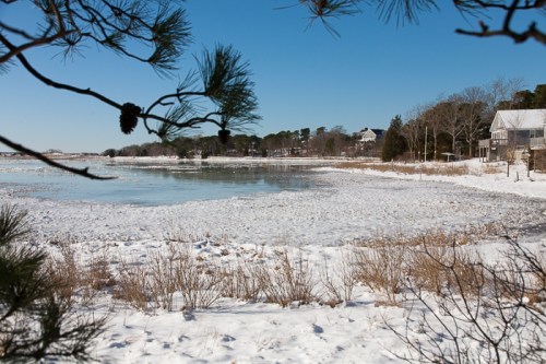 hstraube_capecod__marshsnowjoanna1292014web-6645