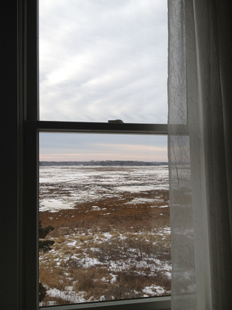 hstraube_viewfrommywindow_212014_web-2540