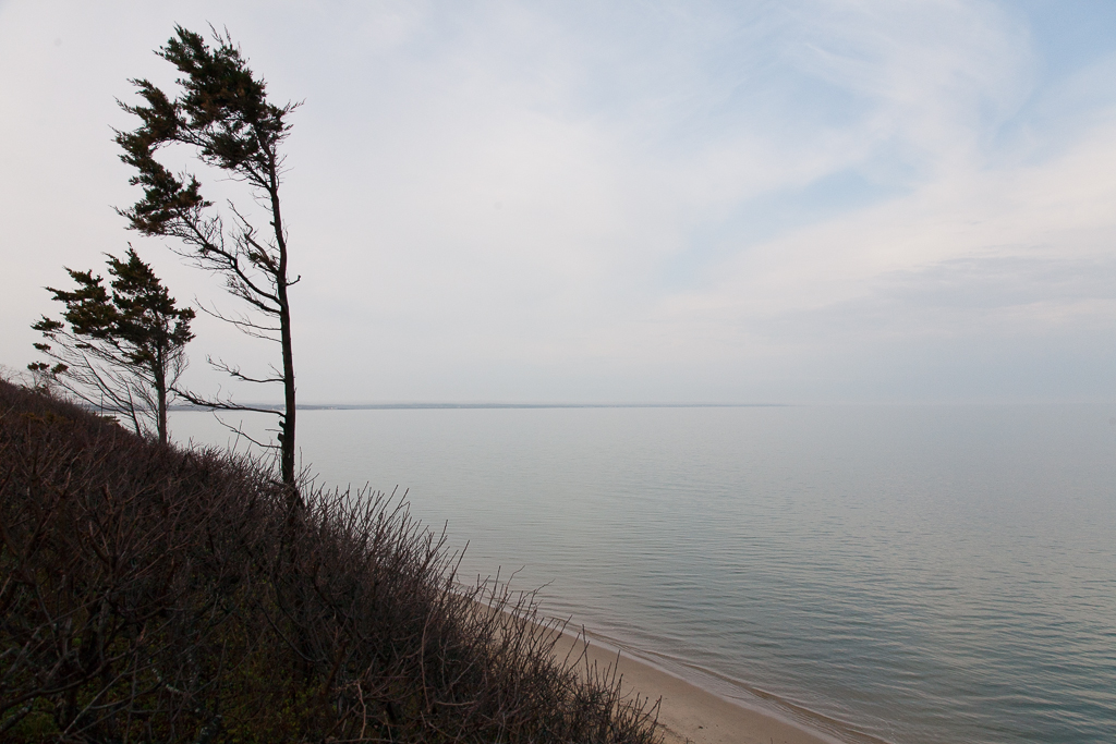 firstencounterbeach_sunrise_capecod_cypresstree