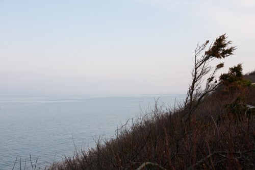 hstraube_2014_capecod_alive2_web-24