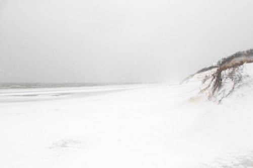 hstraube_2014_capecod_firstencounter_snowdrifts_web-6343