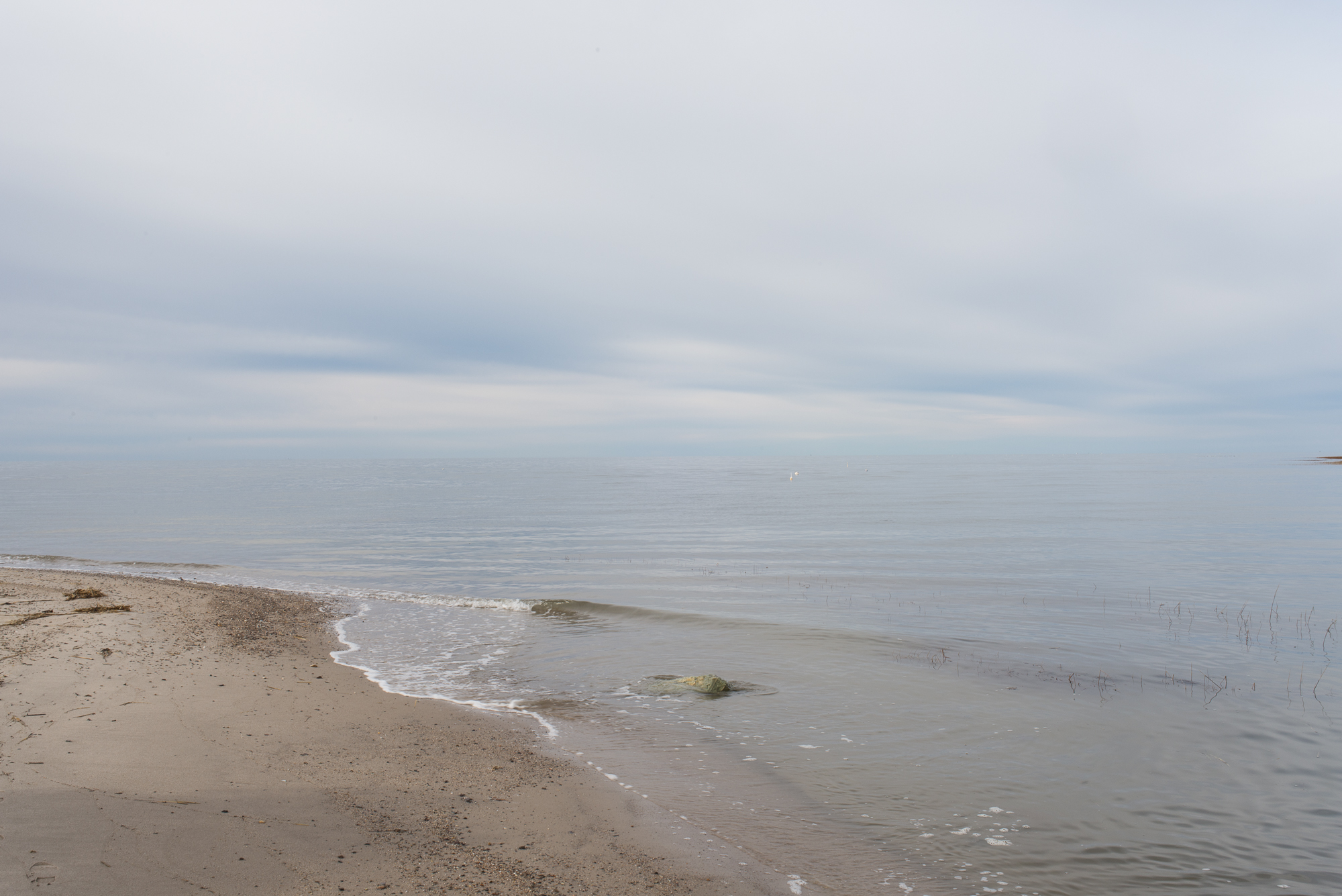 ©HeidiStraube_2018__Thanksgiving_newsletter-8653