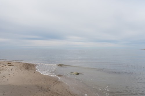 ©HeidiStraube_2018__Thanksgiving_newsletter-8653